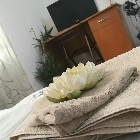 Apartament Piscina Maya *